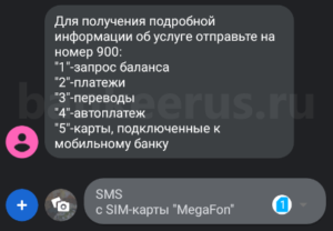 sberbank-sms-command-900-list-screenshot-8