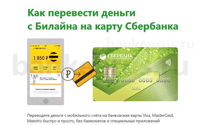 transfer-money-from-beeline-to-sberbank-card