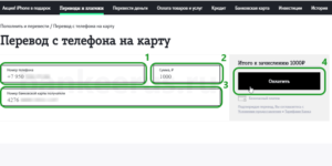 transfer-money-from-tele2-to-sberbank-card-screenshot-2