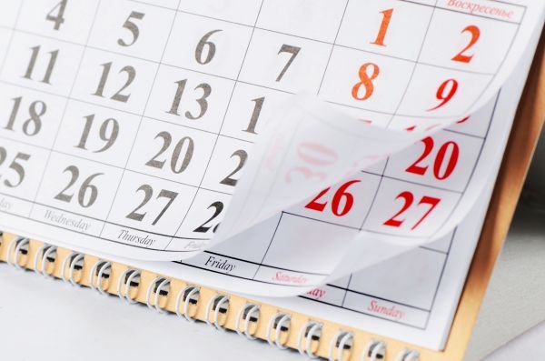 Для участников СВО предложено ввести удлиненные отпуска
		400